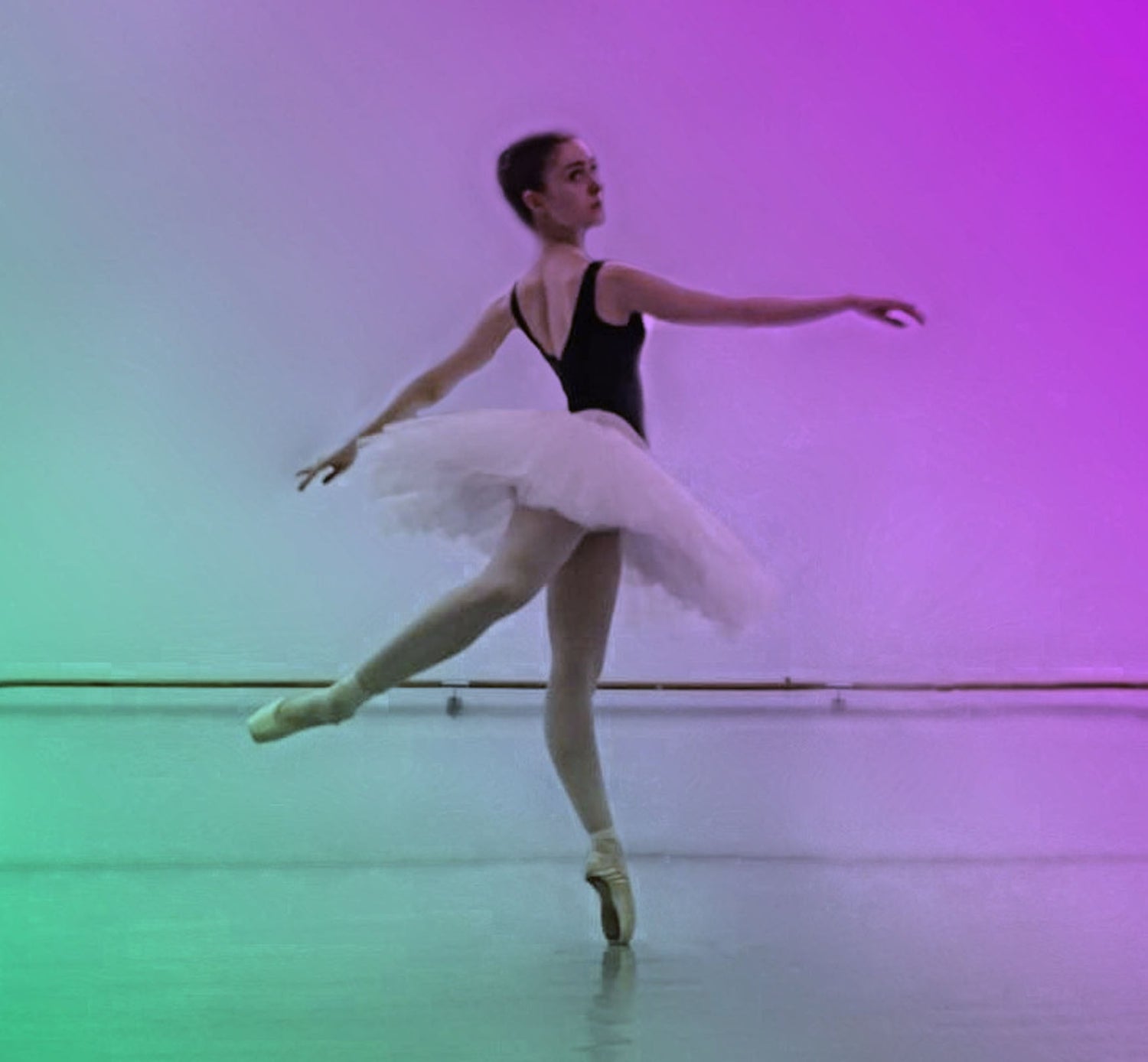 EmBrace Ballet Coaching