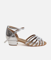 Silver Ladies Ballroom & Latin Dance Shoes with Block Heel, Suede Sole - 013