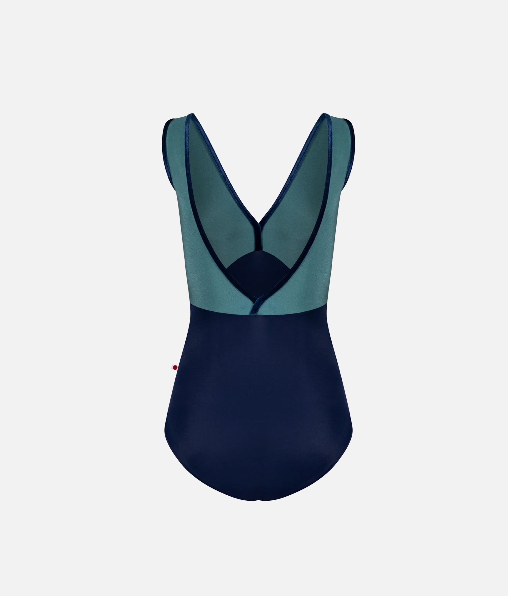 Premium Ballet Dance Leotard, Kimono-Inspired - Alicia Cosmo