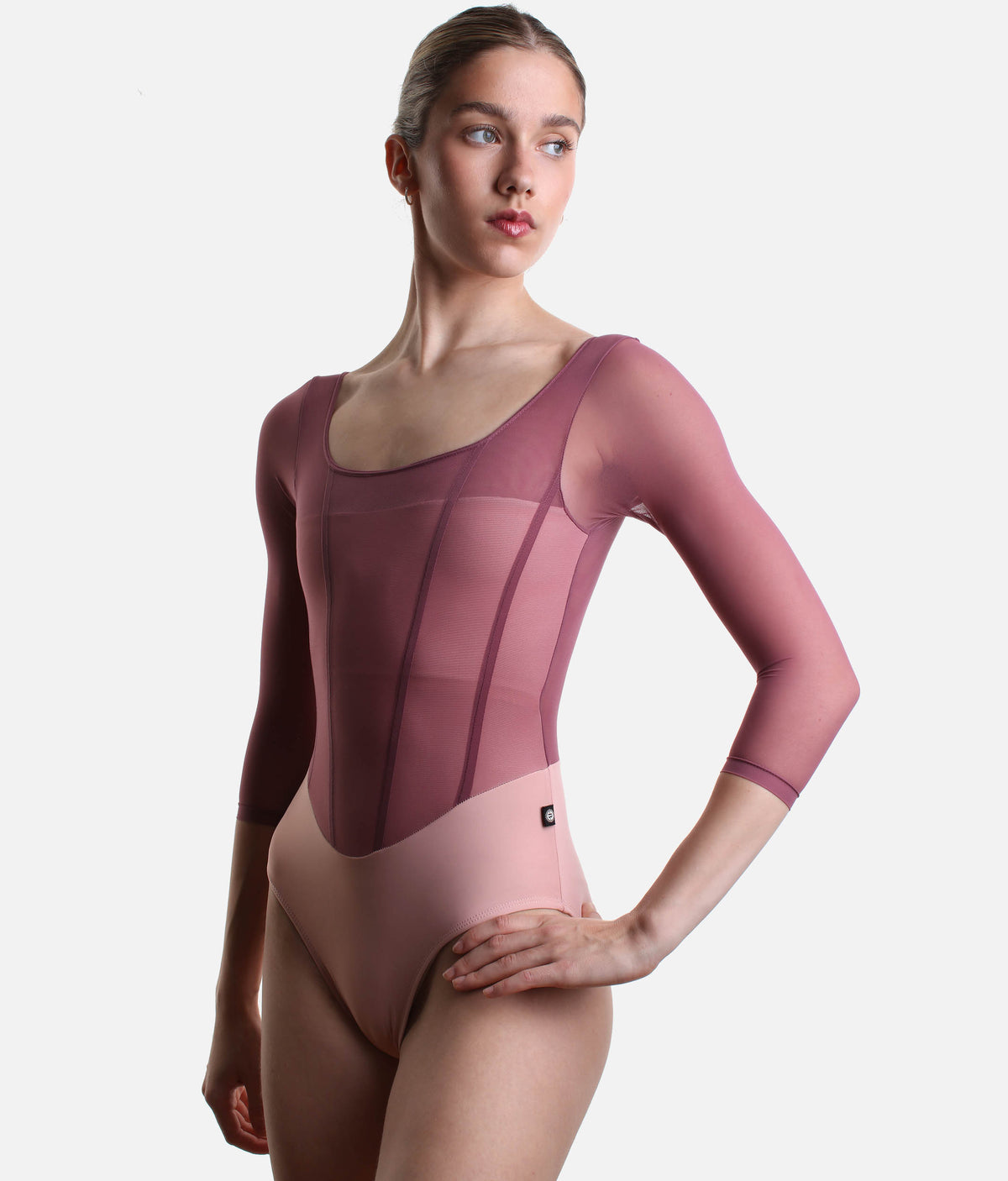 Sofia Mexican Rose Long Sleeve Ballet Leotard - Dusty Pink & Berry Mesh