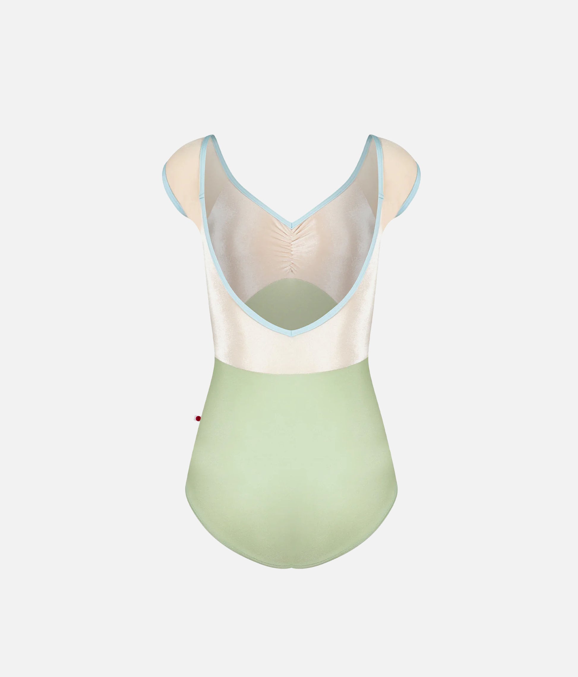 Luxury Ballet Leotard, Velvet Bodice & Deep V-Back - Elli Ginko