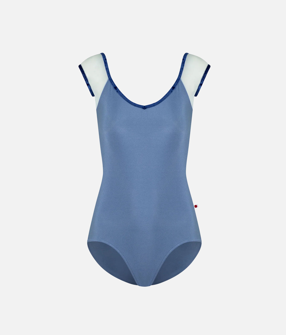 Nina Arctic Mesh Cap Sleeve Ballet Leotard