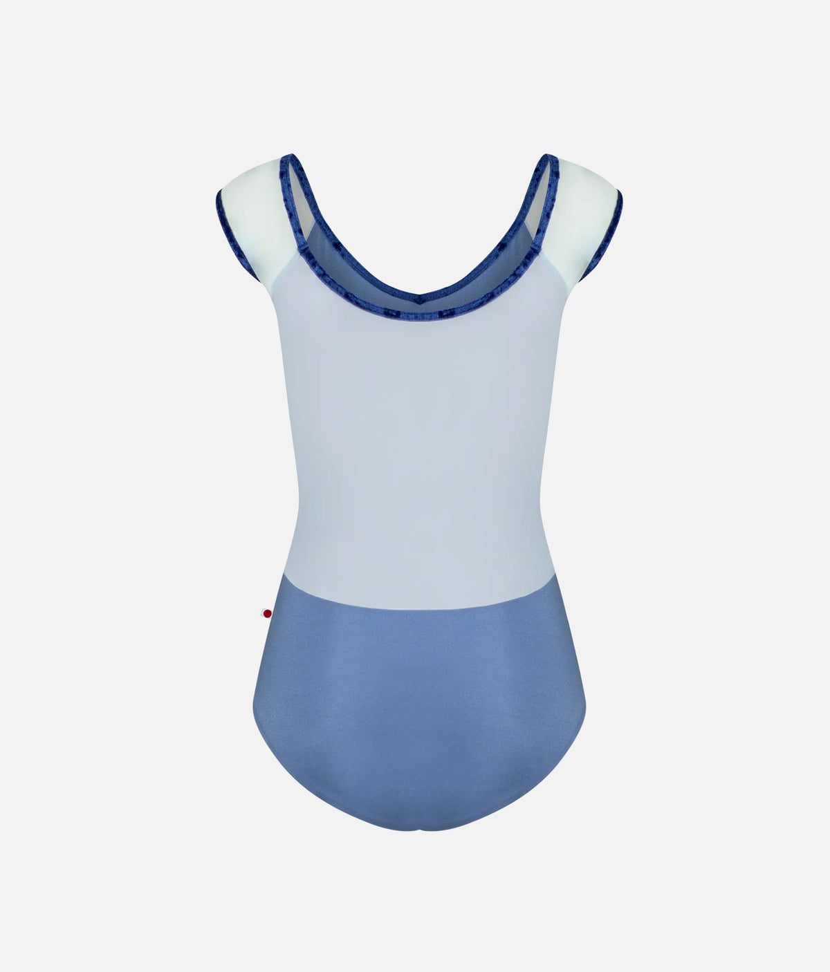 Nina Arctic Mesh Cap Sleeve Ballet Leotard
