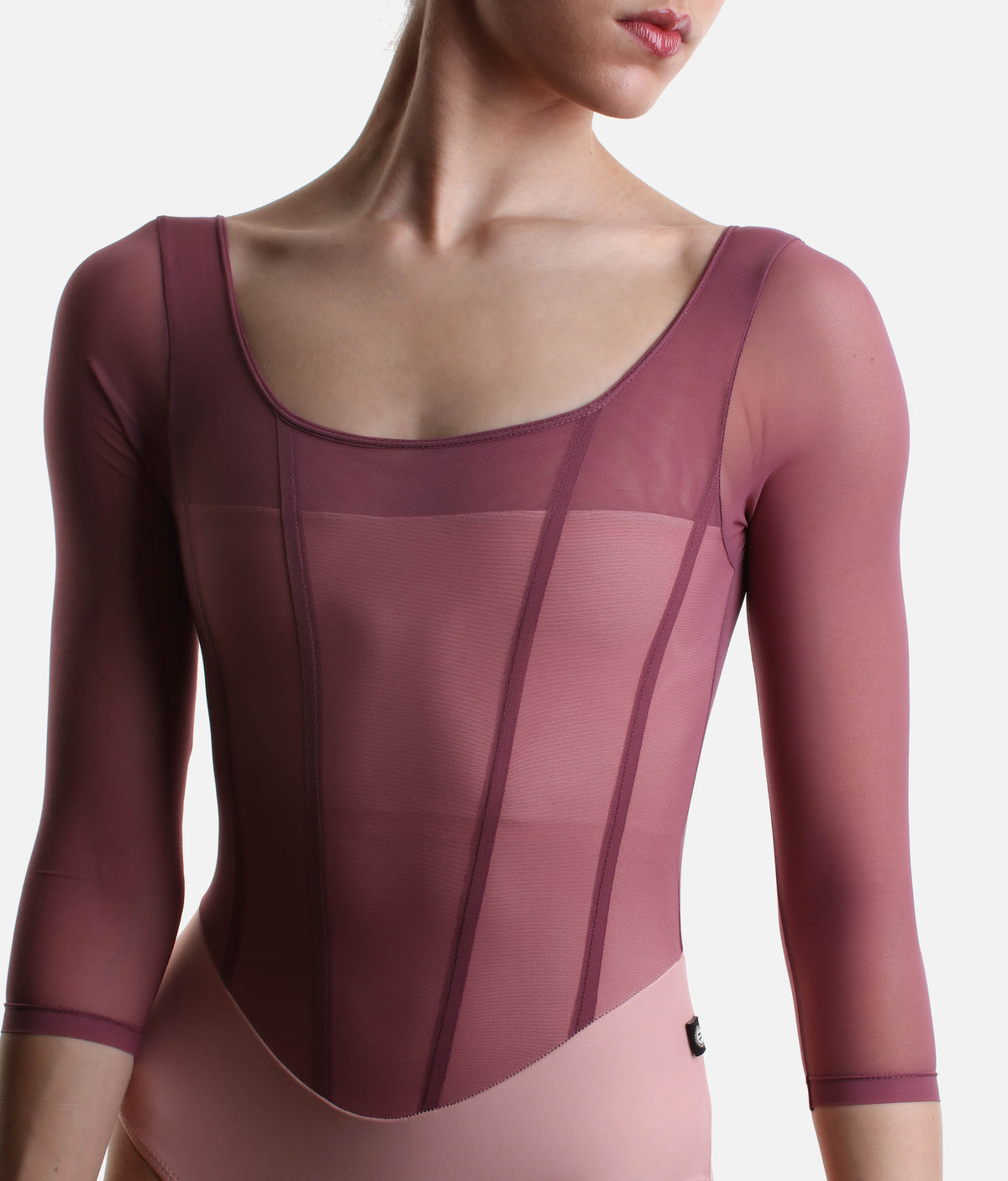 Sofia Mexican Rose Long Sleeve Ballet Leotard - Dusty Pink & Berry Mesh
