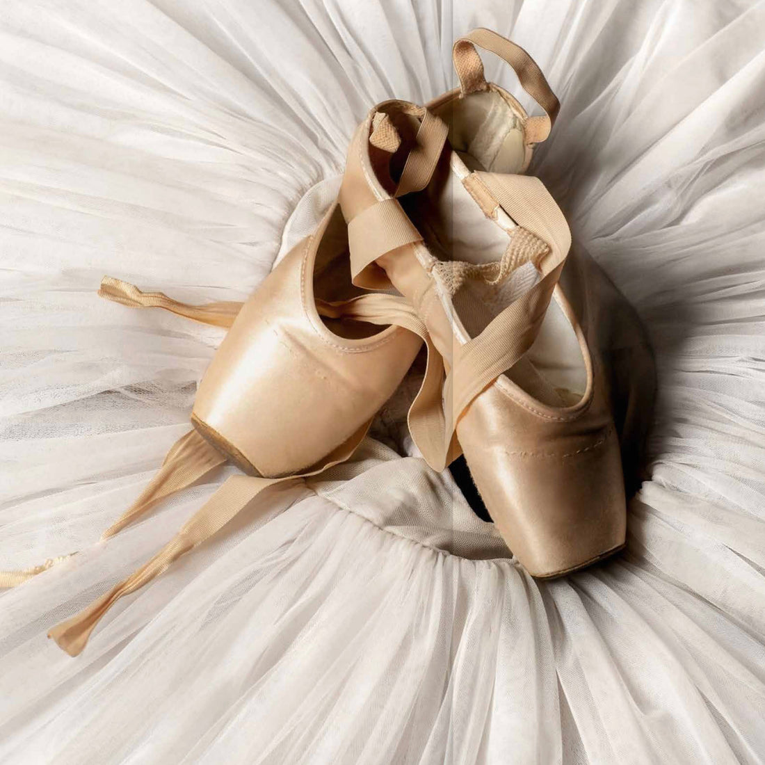 Dance World