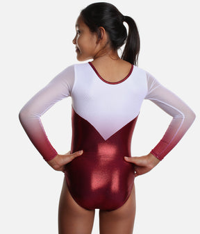 Long Sleeved Gymnastics Leotard with Ombre Mesh - Z694 Vogue